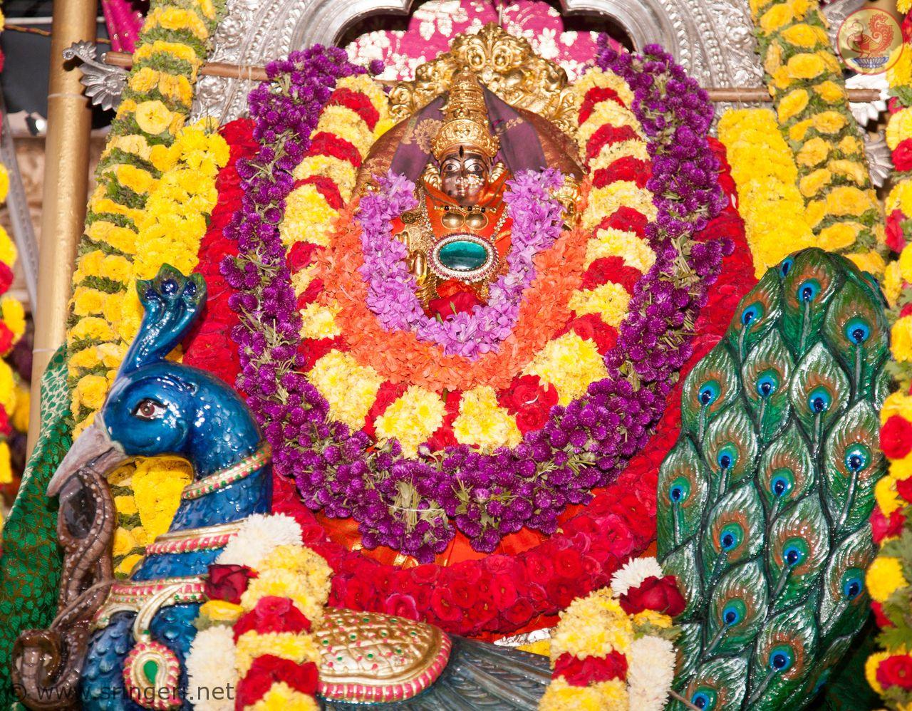 Sharada Sharan Navaratri Celebrations