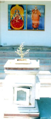 Tulsi Vivaham
