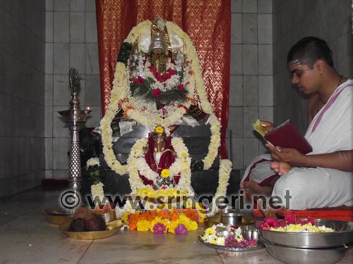 Gallery image 7