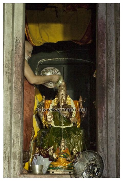 Gallery image 4