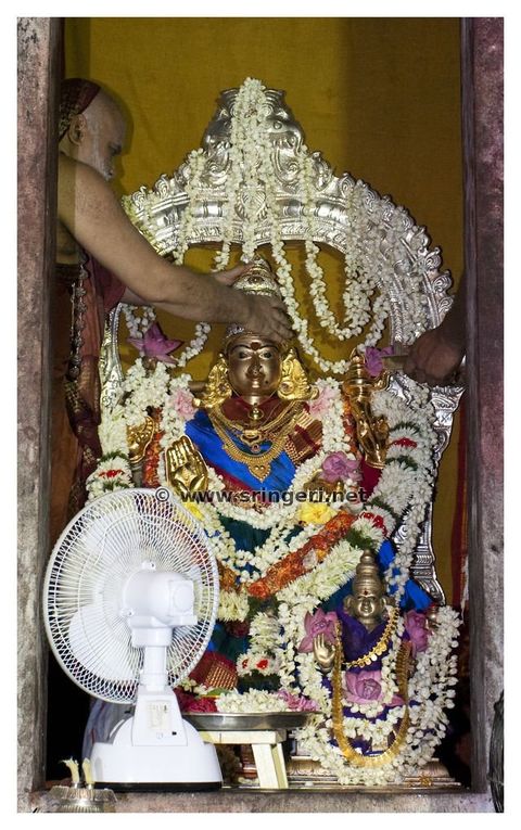 Gallery image 11