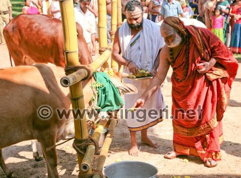 Bali Padya